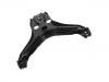  Control Arm:893 407 147 E