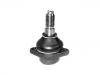 шаравой Ball joint:281 407 361