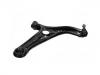  Control Arm:48068-59035
