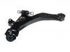  Control Arm:54500-2D000