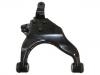  Control Arm:48069-35080