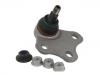 шаравой Ball Joint:8J0 407 366