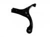  Control Arm:54500-1E100