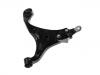  Control Arm:54501-1D000