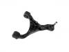  Control Arm:RBJ 500850