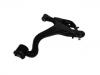 Control Arm:RBJ 501400