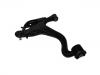 Control Arm:RBJ 501410