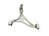  Control Arm:251 330 15 07