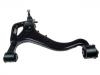 Control Arm:RBJ501370