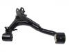  Control Arm:LR0 10527