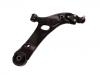  Control Arm:54501-3S100