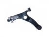  Control Arm:T11-2909010