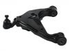  Control Arm:48069-0K040